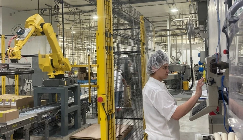 Person working at a dairy processing plant